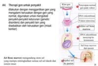 Muka Mengandungi DNA Klon? Teknologi Kecantikan Tersembunyi