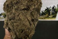 Facial dari Mendapan Daun Purba di Tasik Tondano: Menemukan Rahasia Masa Lalu